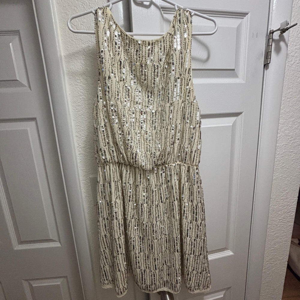 Elegant Cream White Sequin Dress